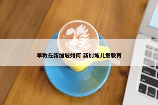 早教在新加坡如何 新加坡儿童教育