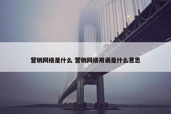 营销网络是什么 营销网络用语是什么意思