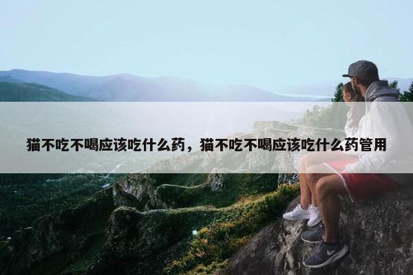 猫不吃不喝应该吃什么药，猫不吃不喝应该吃什么药管用