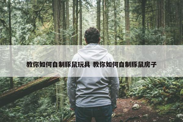 教你如何自制豚鼠玩具 教你如何自制豚鼠房子