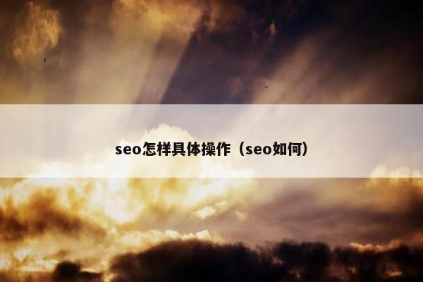 seo怎样具体操作（seo如何）