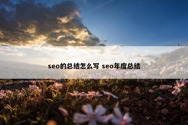 seo的总结怎么写 seo年度总结