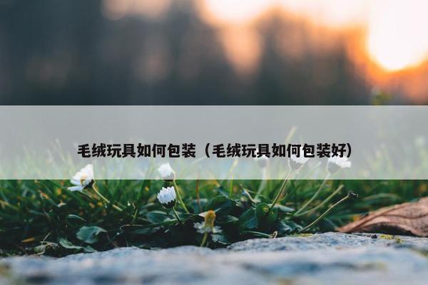 毛绒玩具如何包装（毛绒玩具如何包装好）