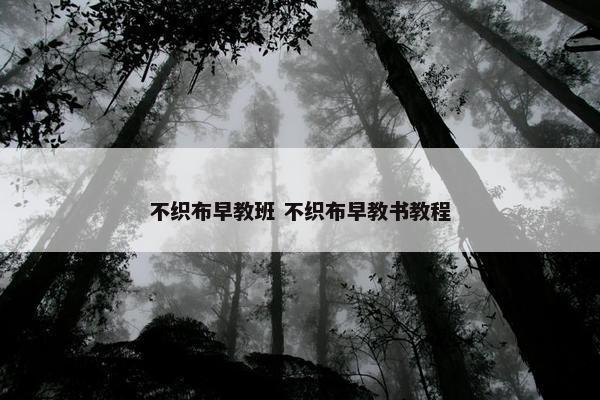 不织布早教班 不织布早教书教程