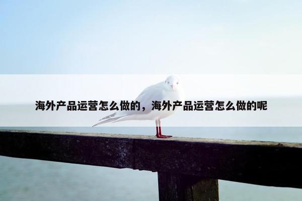 海外产品运营怎么做的，海外产品运营怎么做的呢