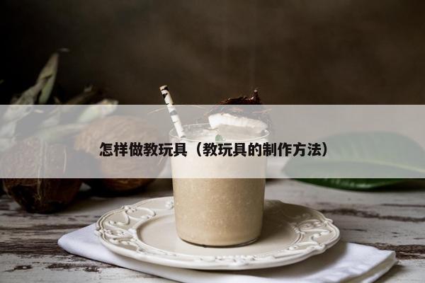 怎样做教玩具（教玩具的制作方法）