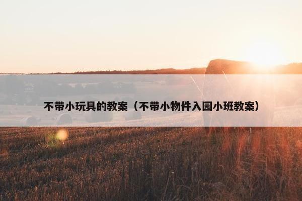 不带小玩具的教案（不带小物件入园小班教案）