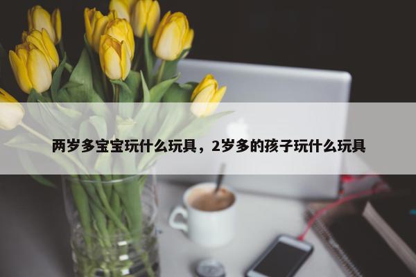 两岁多宝宝玩什么玩具，2岁多的孩子玩什么玩具