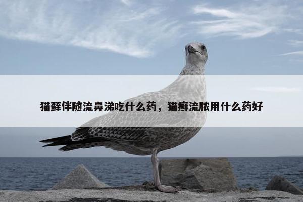 猫藓伴随流鼻涕吃什么药，猫癣流脓用什么药好