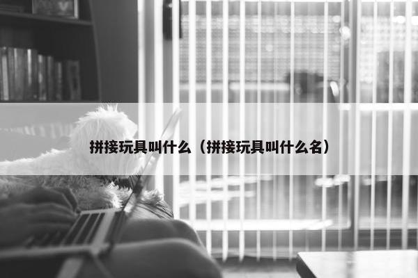 拼接玩具叫什么（拼接玩具叫什么名）