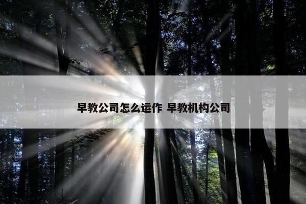 早教公司怎么运作 早教机构公司