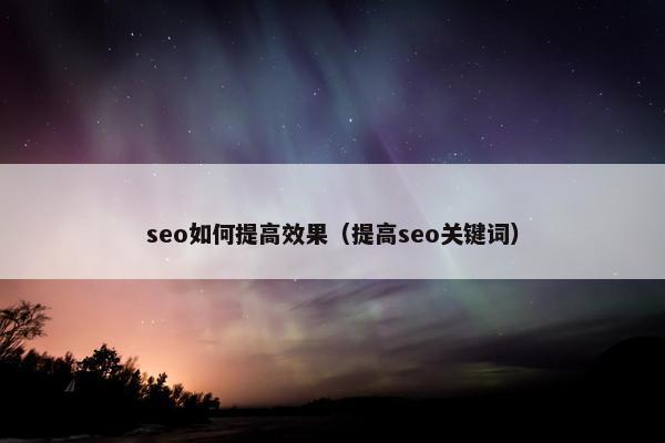 seo如何提高效果（提高seo关键词）