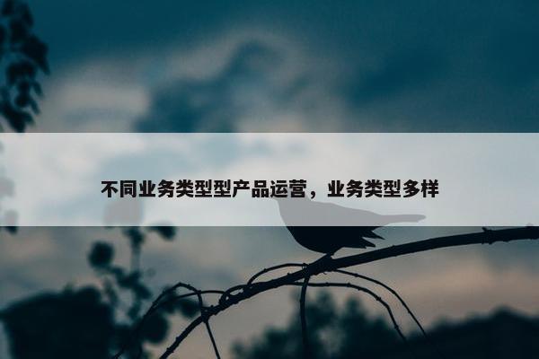 不同业务类型型产品运营，业务类型多样