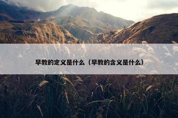 早教的定义是什么（早教的含义是什么）