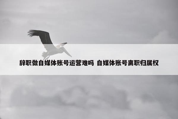 辞职做自媒体账号运营难吗 自媒体账号离职归属权