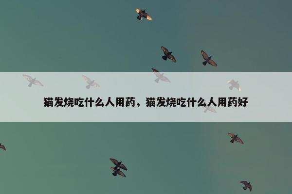 猫发烧吃什么人用药，猫发烧吃什么人用药好