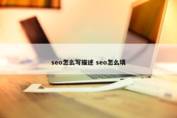 seo怎么写描述 seo怎么填