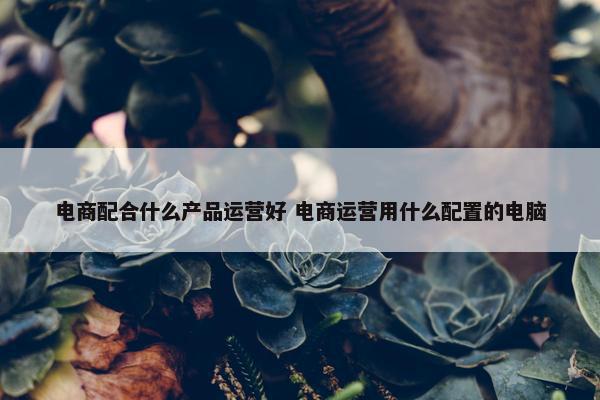 电商配合什么产品运营好 电商运营用什么配置的电脑