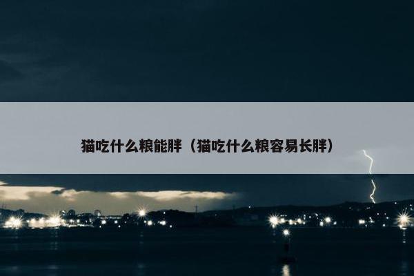 猫吃什么粮能胖（猫吃什么粮容易长胖）