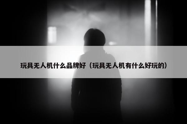 玩具无人机什么品牌好（玩具无人机有什么好玩的）