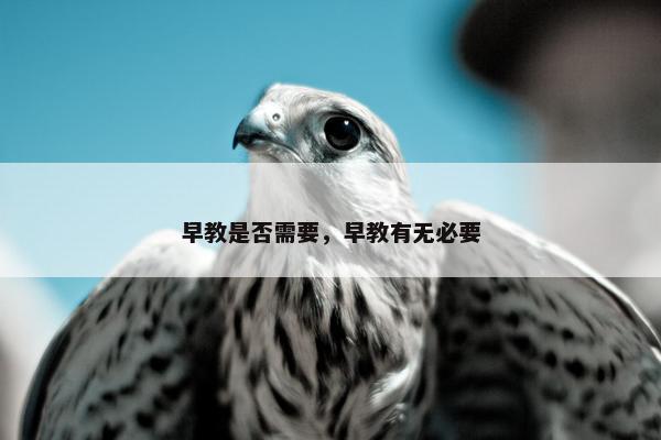 早教是否需要，早教有无必要