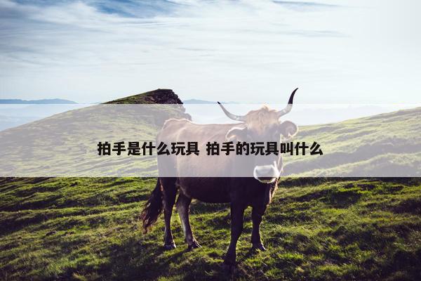 拍手是什么玩具 拍手的玩具叫什么