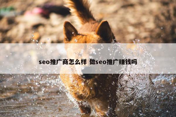 seo推广商怎么样 做seo推广赚钱吗