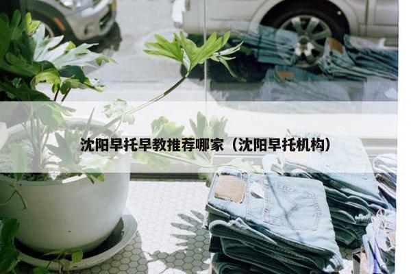 沈阳早托早教推荐哪家（沈阳早托机构）