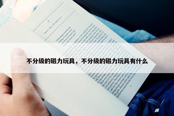 不分级的磁力玩具，不分级的磁力玩具有什么