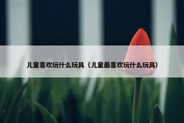 儿童喜欢玩什么玩具（儿童最喜欢玩什么玩具）