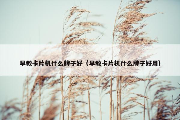 早教卡片机什么牌子好（早教卡片机什么牌子好用）