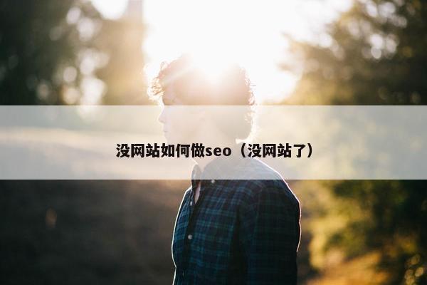 没网站如何做seo（没网站了）