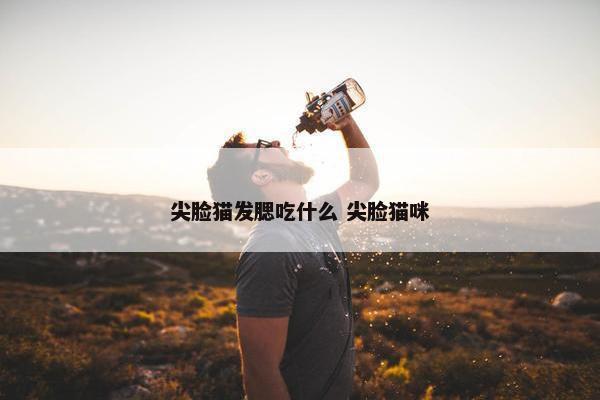 尖脸猫发腮吃什么 尖脸猫咪