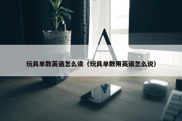 玩具单数英语怎么读（玩具单数用英语怎么说）