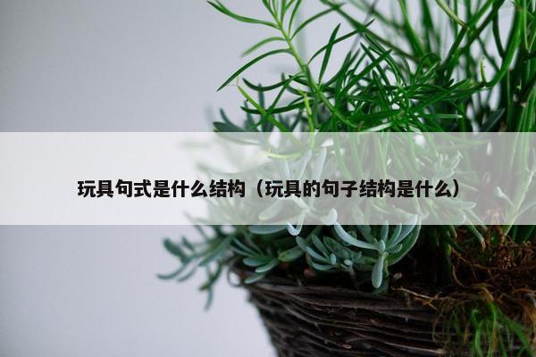 玩具句式是什么结构（玩具的句子结构是什么）