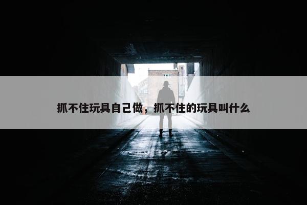 抓不住玩具自己做，抓不住的玩具叫什么