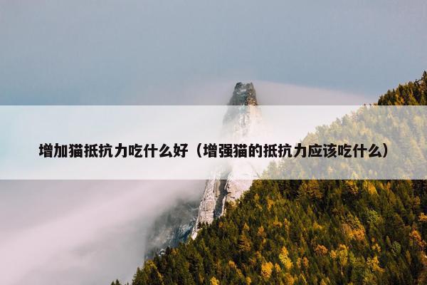 增加猫抵抗力吃什么好（增强猫的抵抗力应该吃什么）