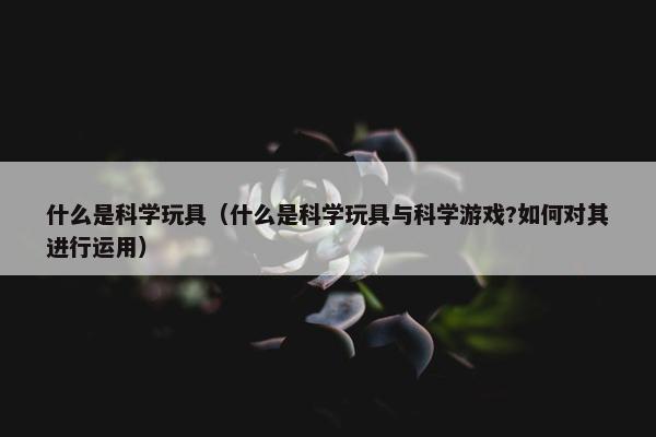 什么是科学玩具（什么是科学玩具与科学游戏?如何对其进行运用）