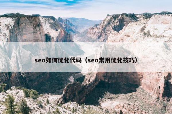 seo如何优化代码（seo常用优化技巧）