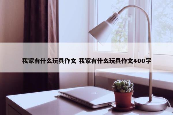 我家有什么玩具作文 我家有什么玩具作文400字