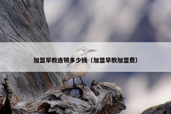 加盟早教连锁多少钱（加盟早教加盟费）