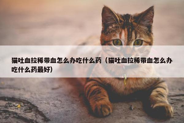 猫吐血拉稀带血怎么办吃什么药（猫吐血拉稀带血怎么办吃什么药最好）