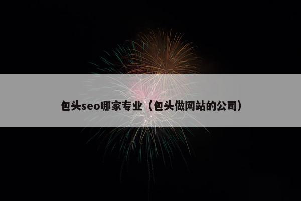 包头seo哪家专业（包头做网站的公司）