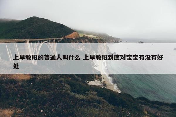 上早教班的普通人叫什么 上早教班到底对宝宝有没有好处