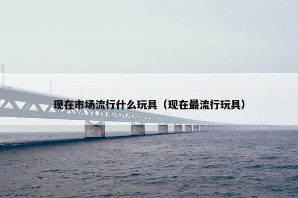 现在市场流行什么玩具（现在最流行玩具）