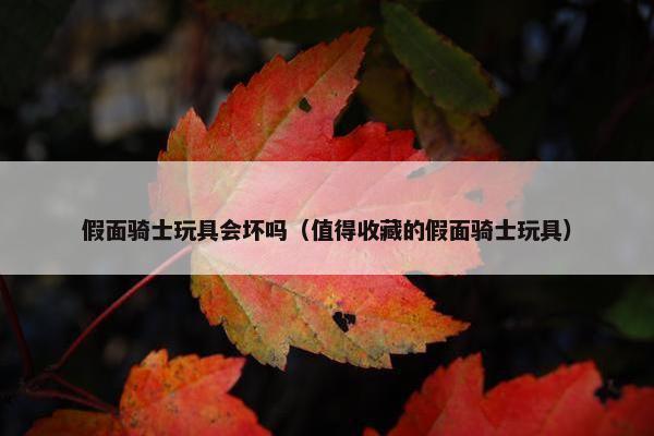 假面骑士玩具会坏吗（值得收藏的假面骑士玩具）