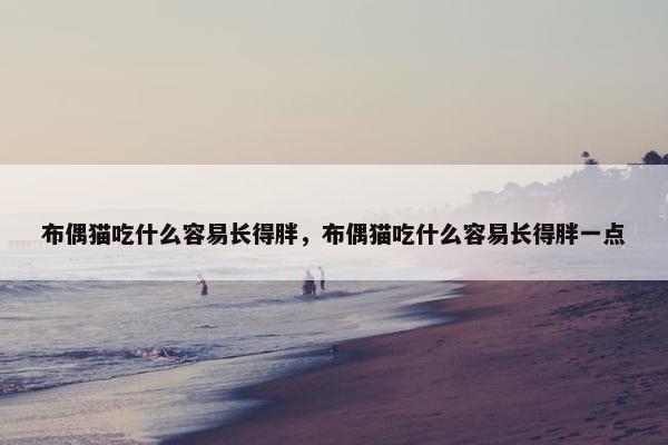 布偶猫吃什么容易长得胖，布偶猫吃什么容易长得胖一点