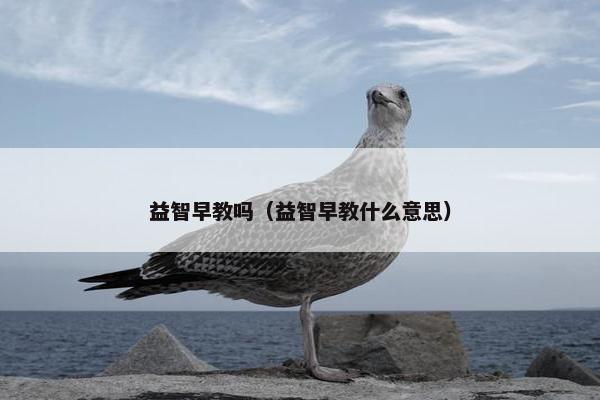 益智早教吗（益智早教什么意思）