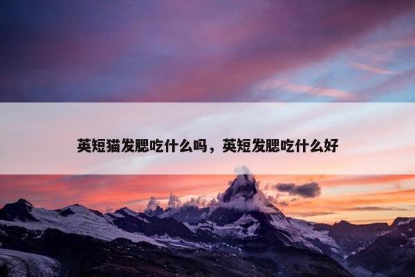 英短猫发腮吃什么吗，英短发腮吃什么好