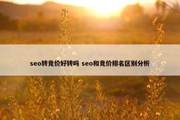 seo转竞价好转吗 seo和竞价排名区别分析